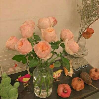 pg电子娱乐官网游戏手机app下载